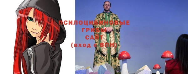 jwh Сосновоборск