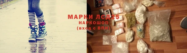 крисы Володарск