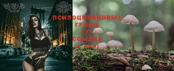 гидропоника Сосновый Бор