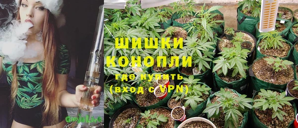 крисы Володарск