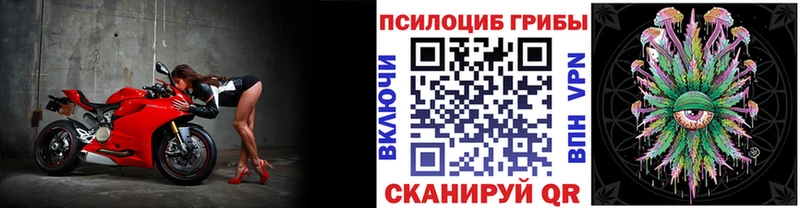 хочу наркоту  кракен tor  Псилоцибиновые грибы мицелий  Красково 